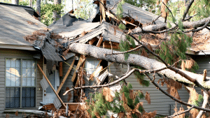 common storm damage - Number One restoration