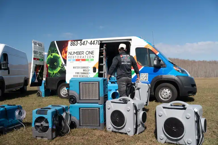 Damage restoration services for complex