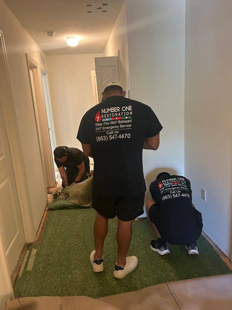 Experto profesionales de Number One Restoration limpiando una alfombra y limpiando los daños en un hogar