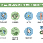 toxicidad moho síntomas infografía