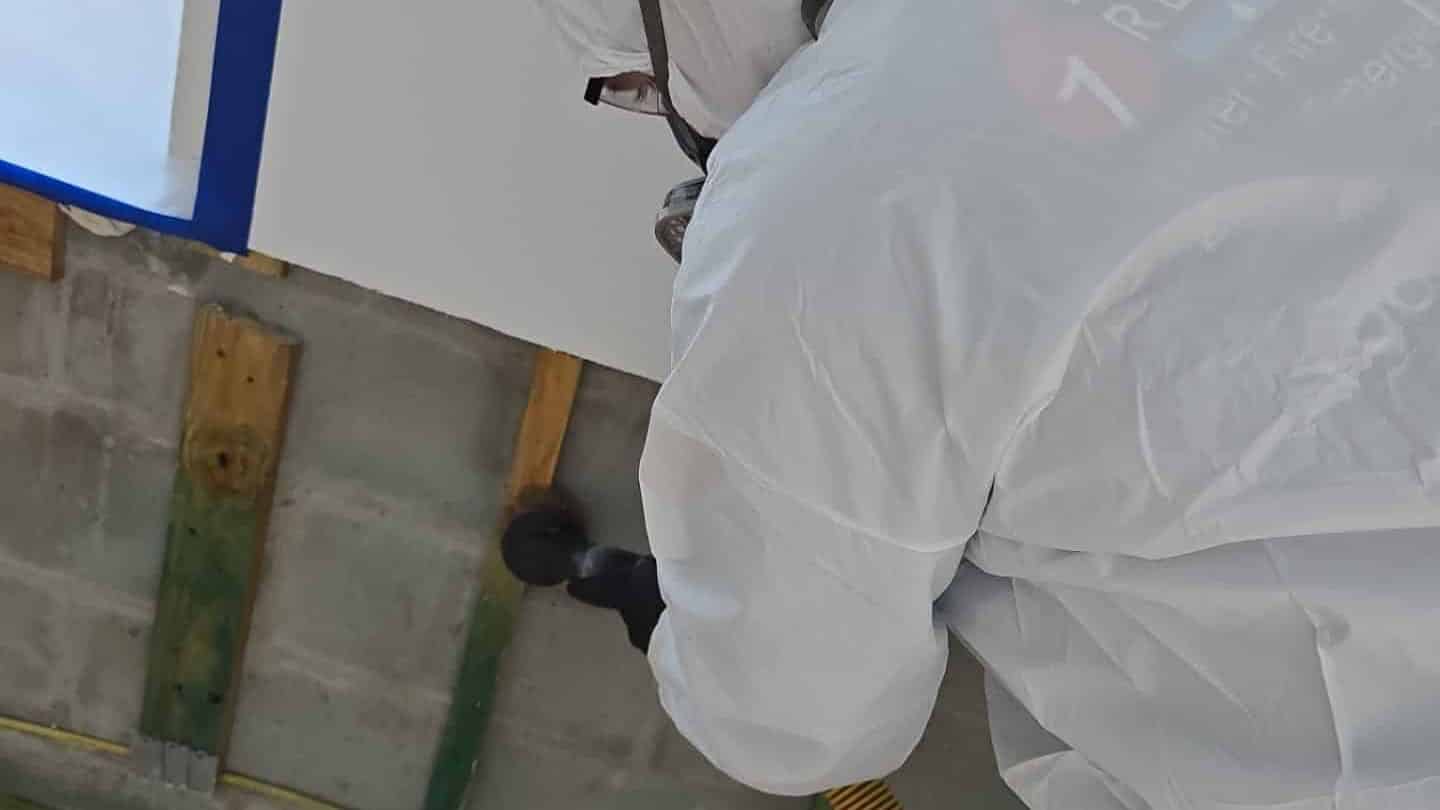 Trabajo de remediación de daño por moho realizado por number one restoration