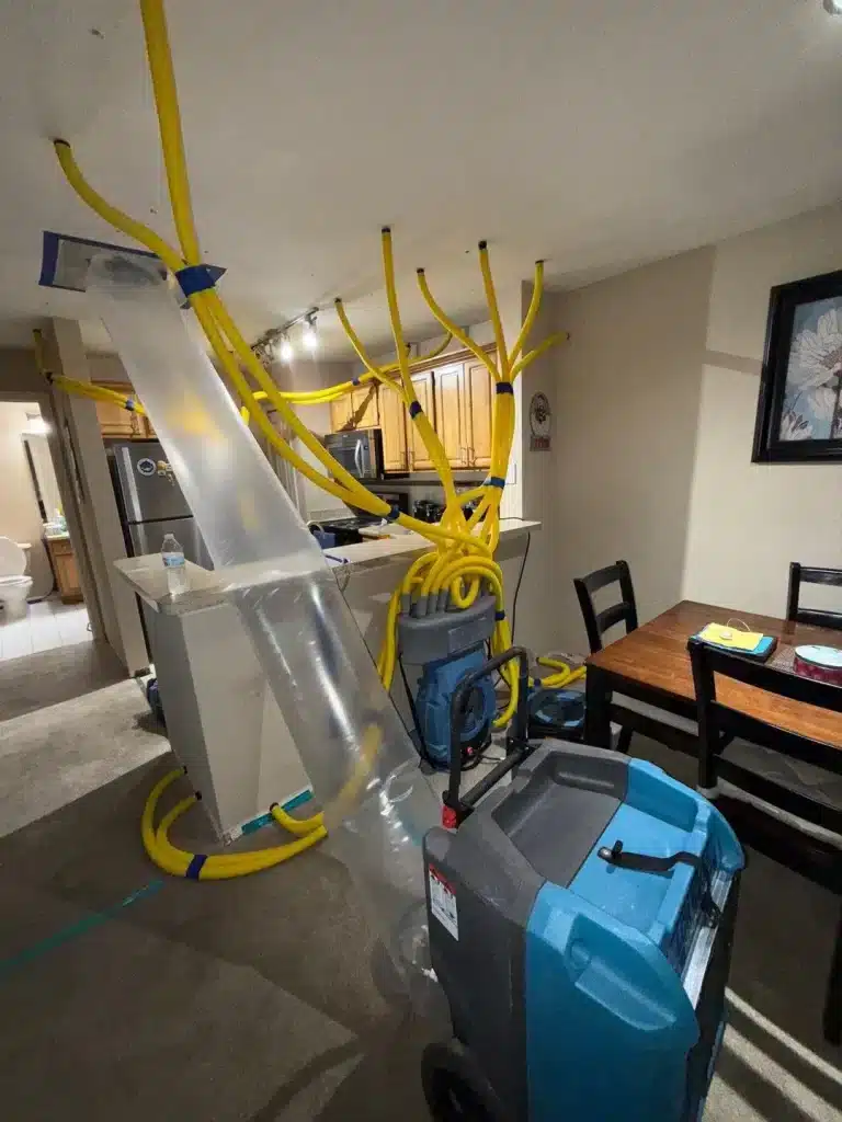 Camden restoration services