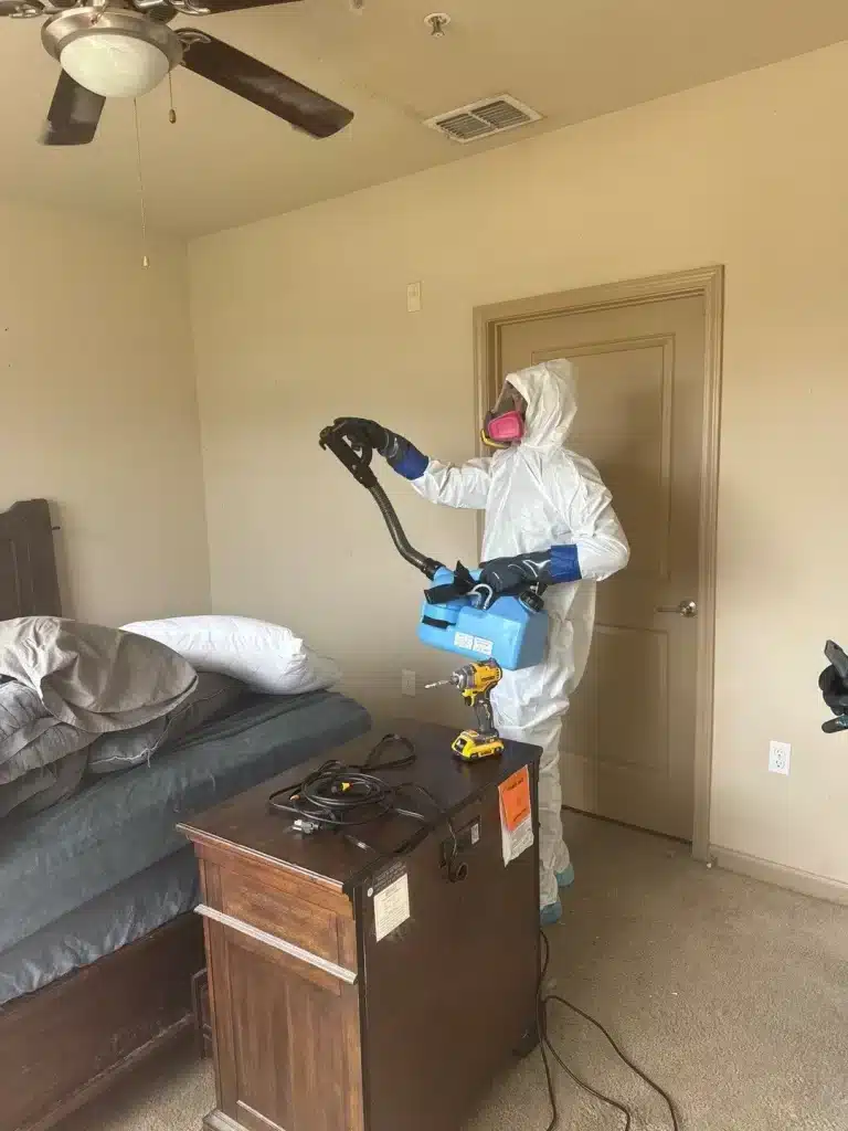 Diseases and Pathogens: The Risk of Inadequate Disinfection