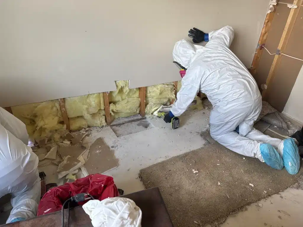 Limpieza y desinfección por trauma