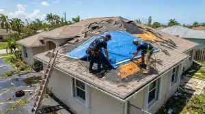 What Should You Do First After Storm Damage