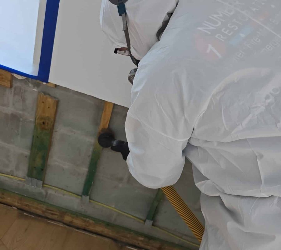 Trabajo de remediación de daño por moho realizado por number one restoration