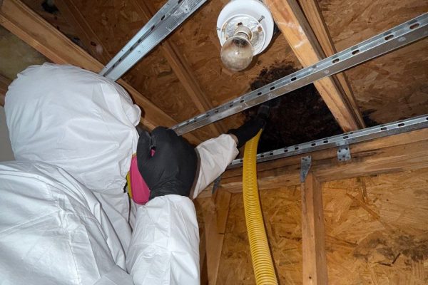 7-Jan 09, 2026 17-00-08-7MvS