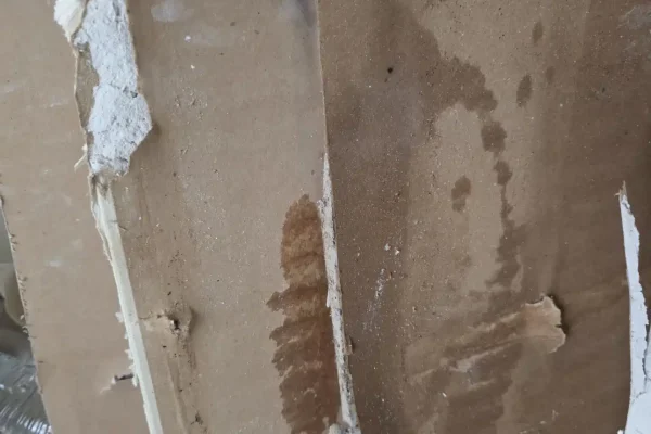 8-Nov 20, 2025 15-59-16-vjnH