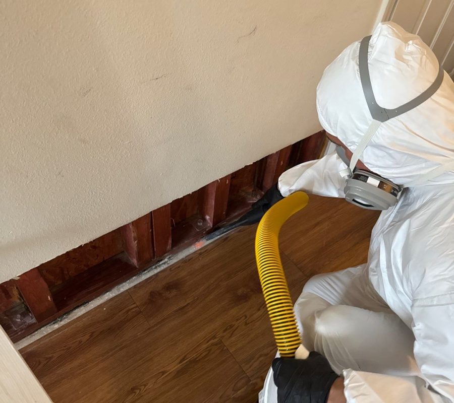 Expert Water Damage Restoration Services in Orlando Tampa, Florida